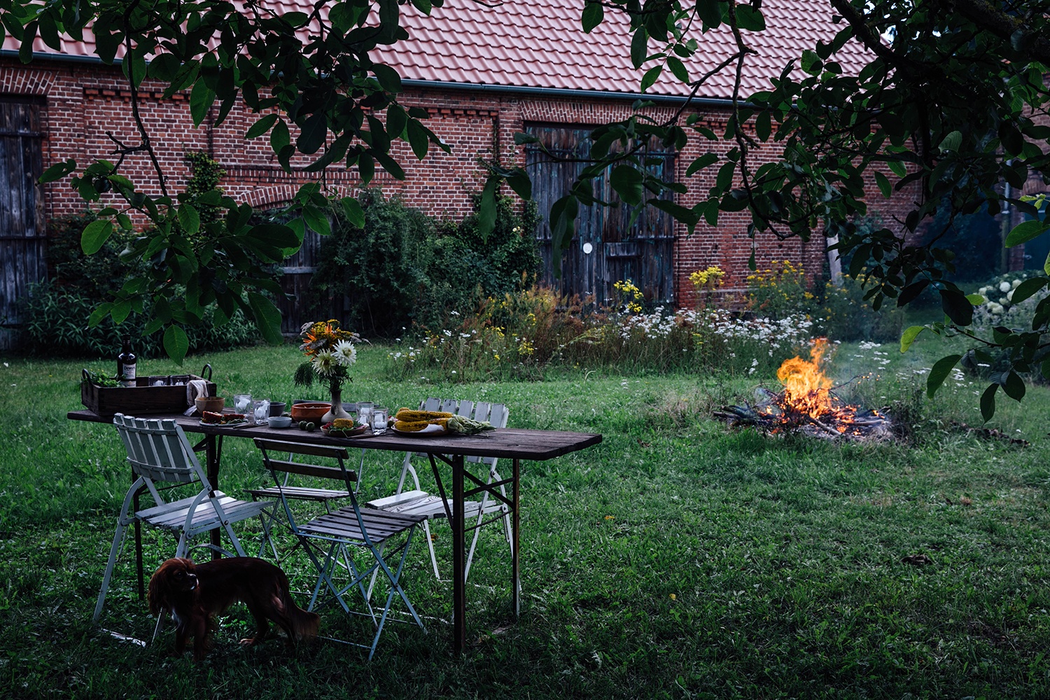 bonfire in the garden