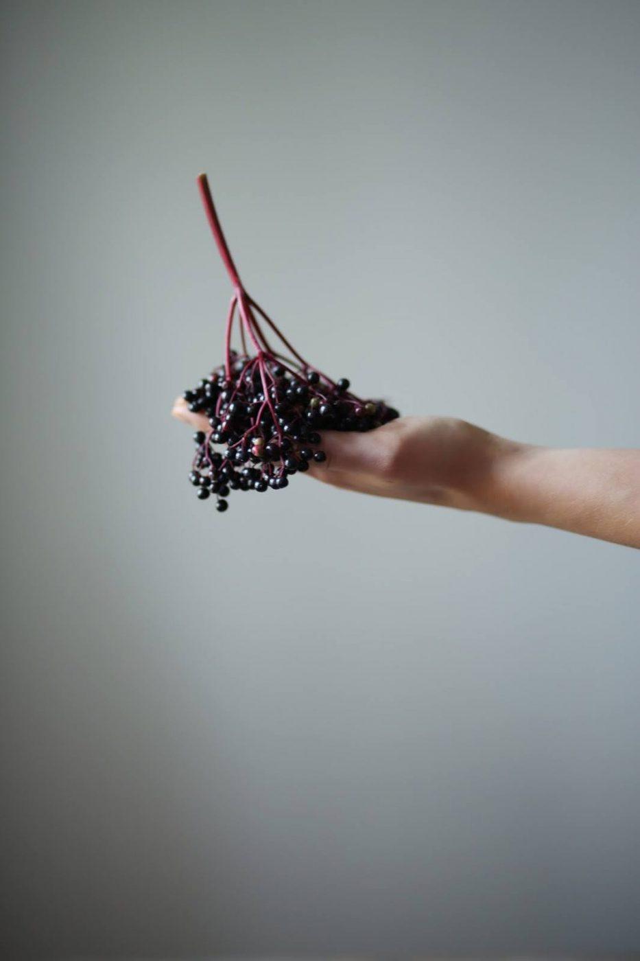 Image for Homemade Elderberry Syrup