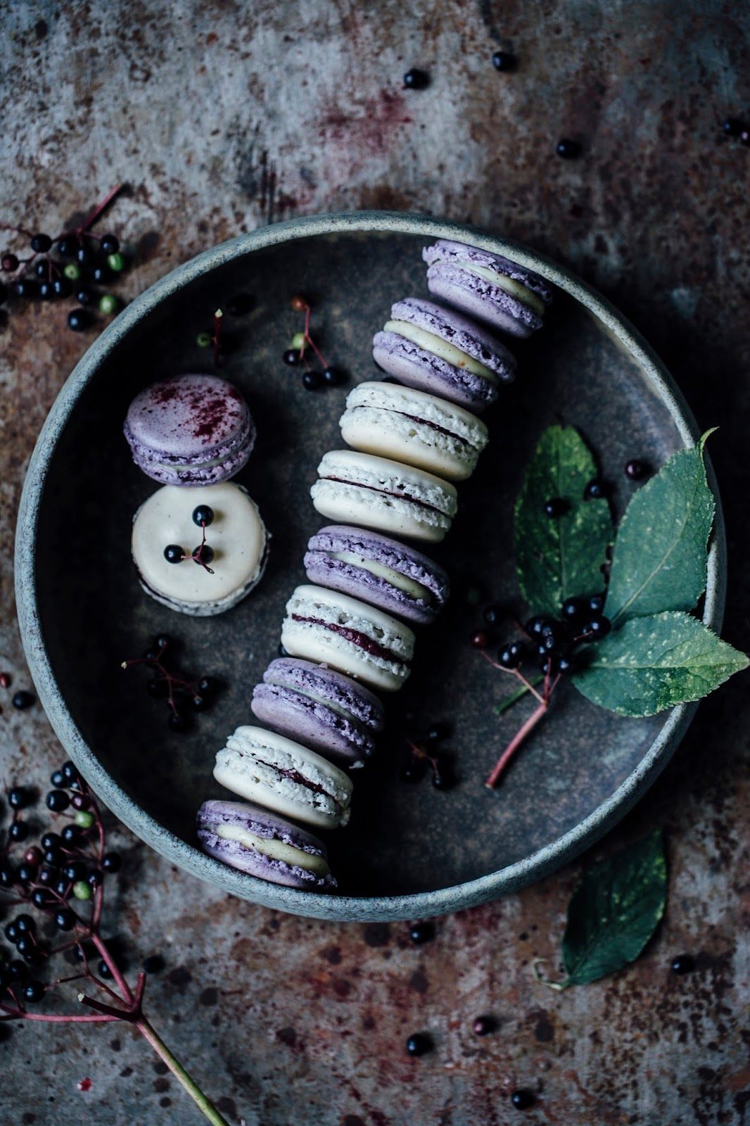 Macarons Variations: Blueberry-Vanilla & Vanilla-Elderberry