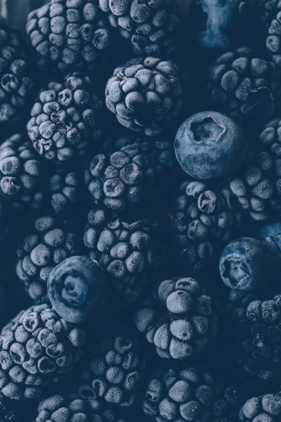 Lactosefree MintChocolateVanillaIceCream Cake Our Food Stories