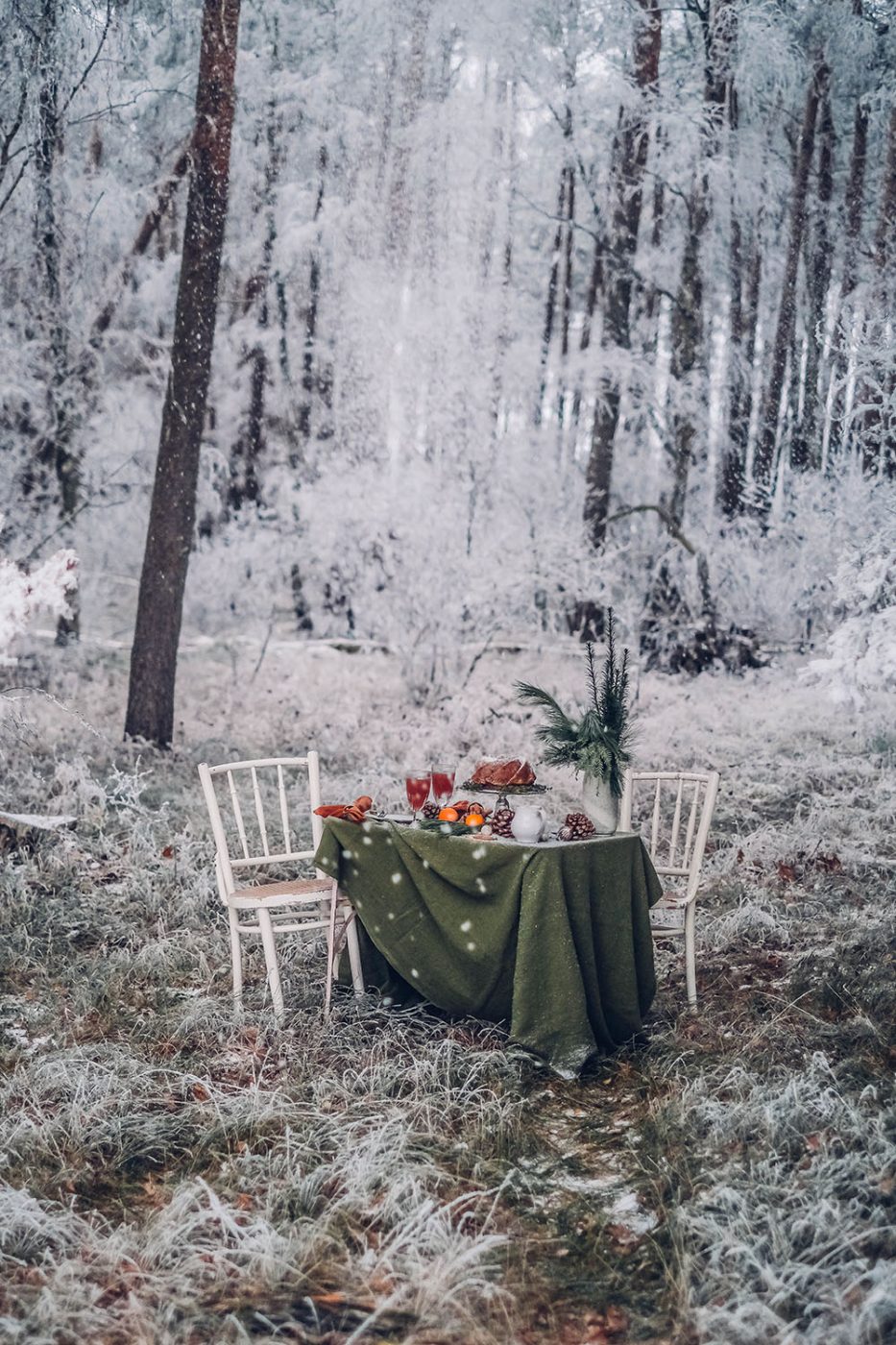 Image for A snowy Picnic in the Woods