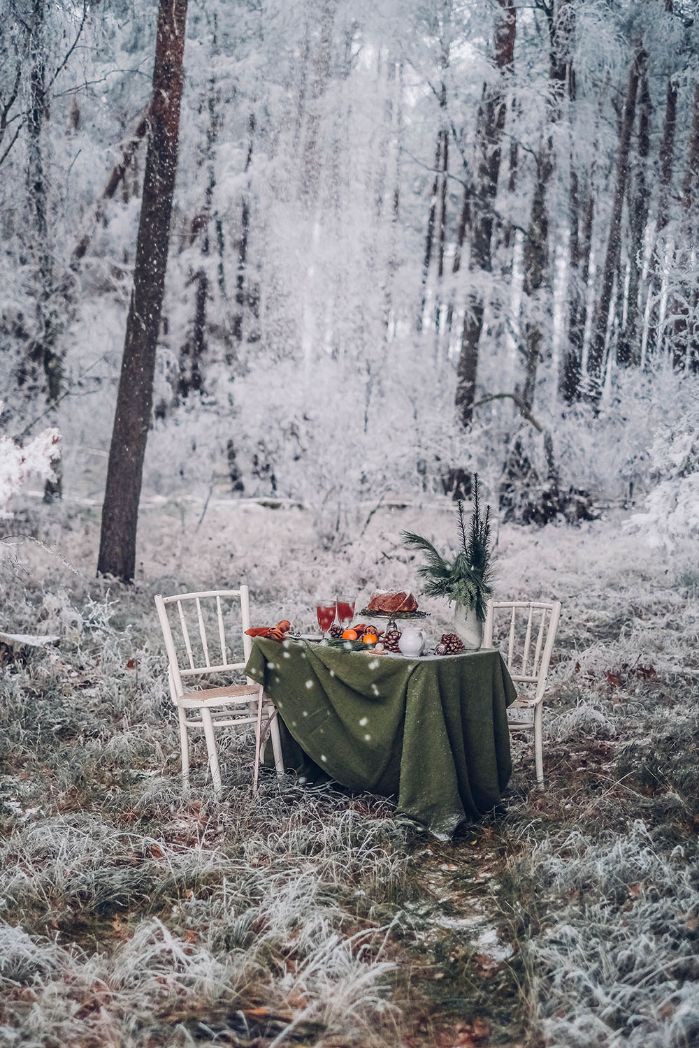 A snowy Picnic in the Woods