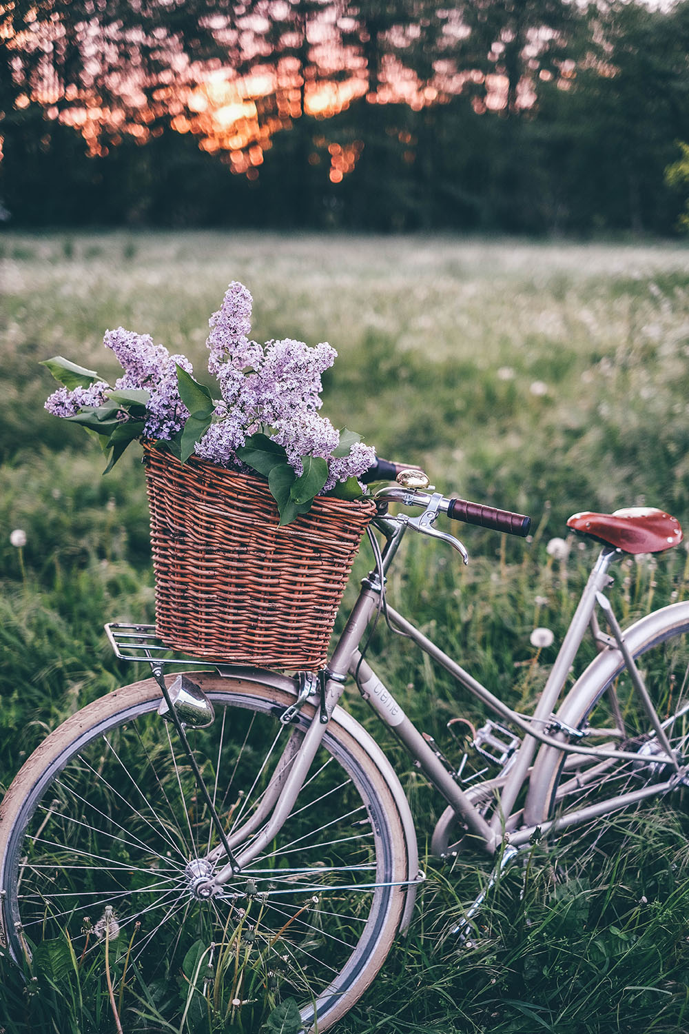 Lilacs Bike