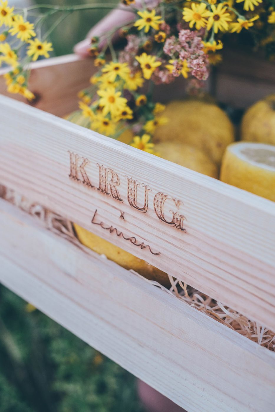 Krug x Lemon