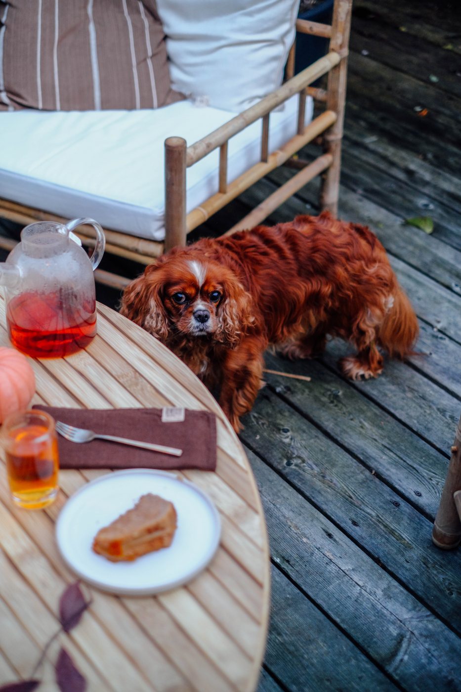 "Tine K Home" bamboo furniture linen garden