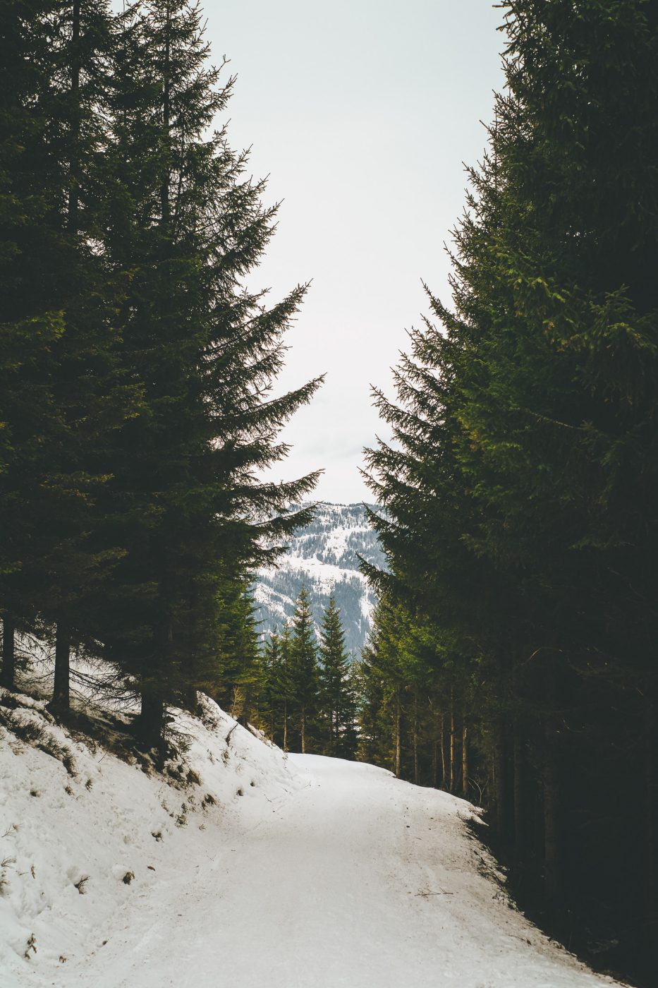 Bad Gastein Österreich Hotel Urlaub Tipps