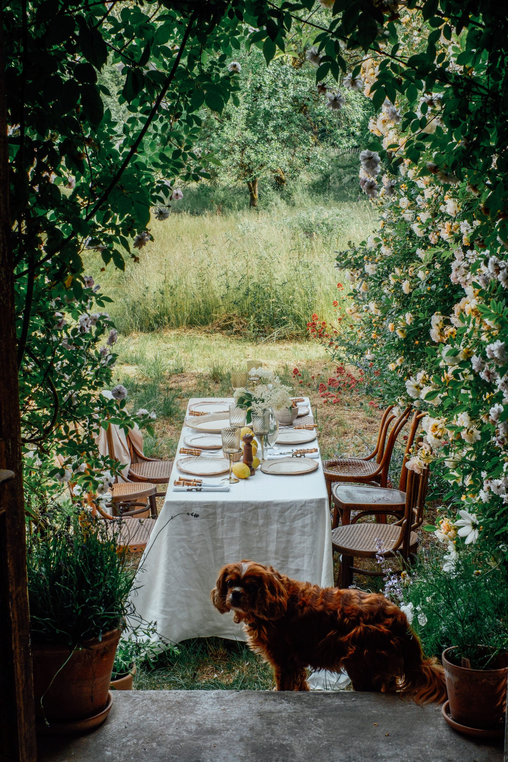 Summer Gathering