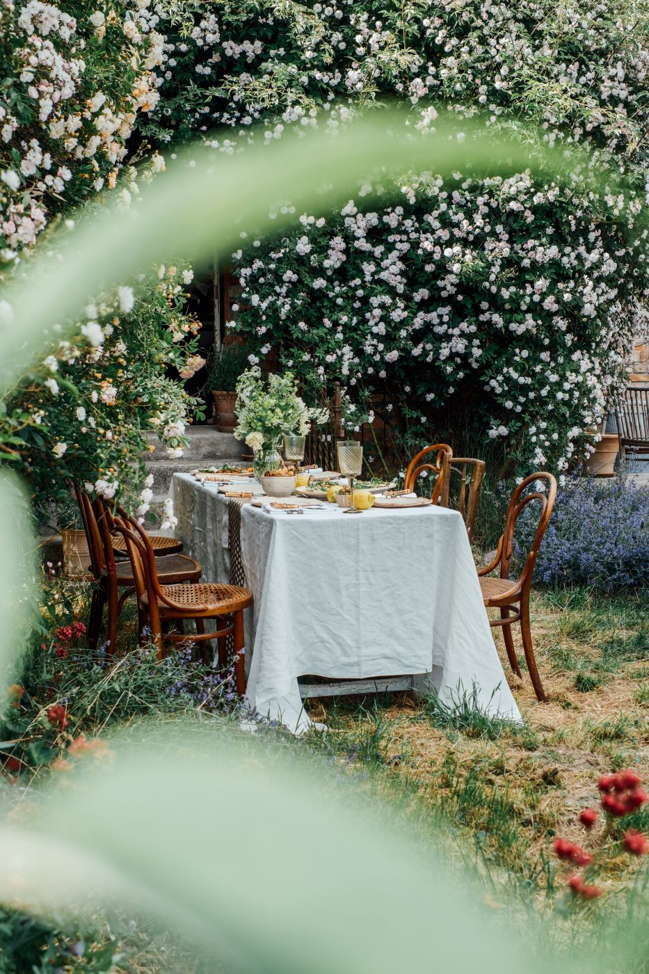 Image for A Summer Gathering in the Garden