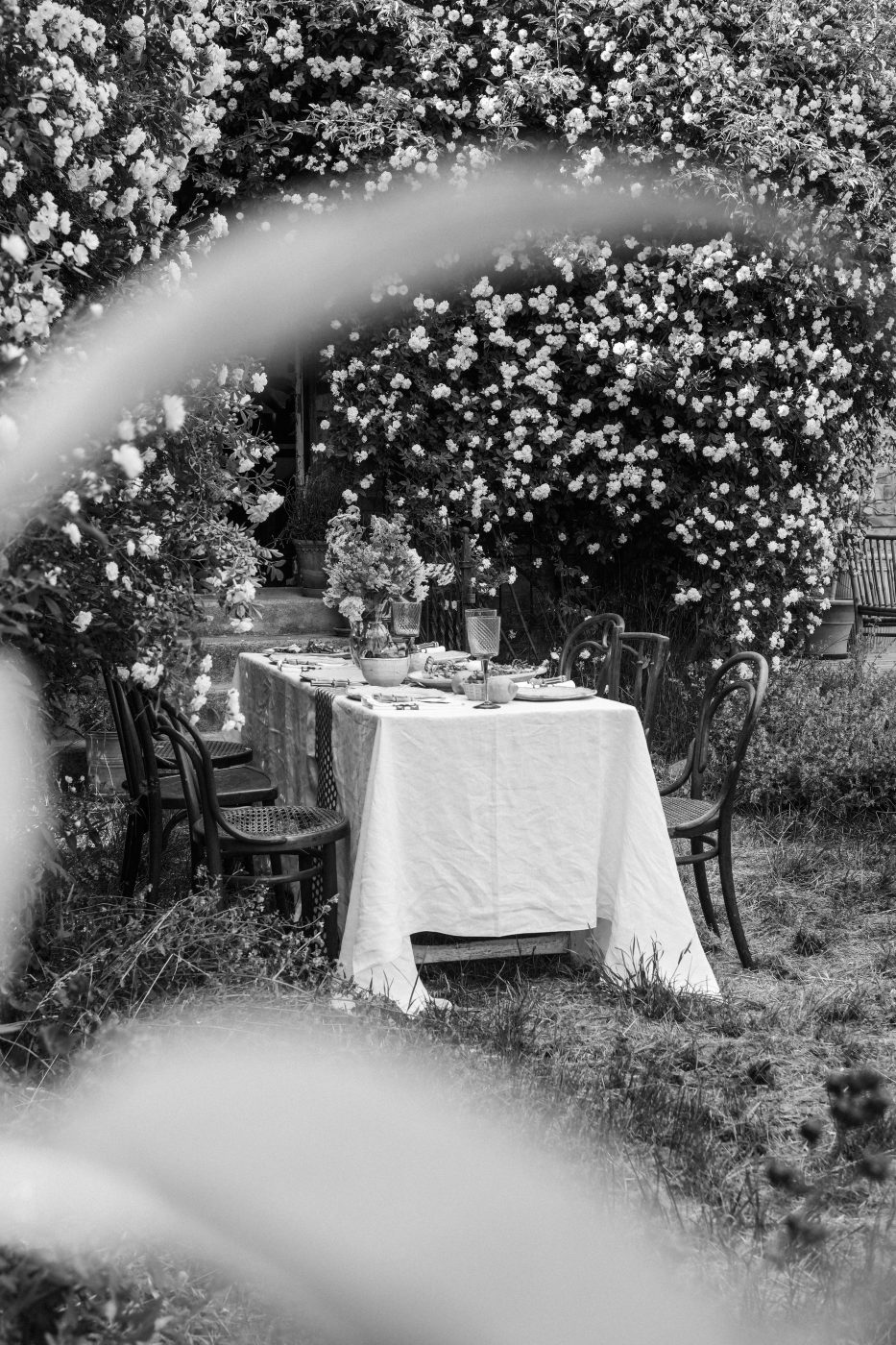 Summer Gathering